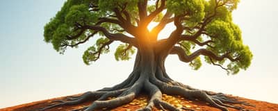 The Dividend Aristocrat Advantage: Consistent Income Growth