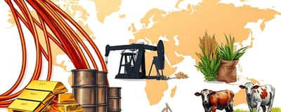 Commodity Investing: Understanding Raw Materials Markets